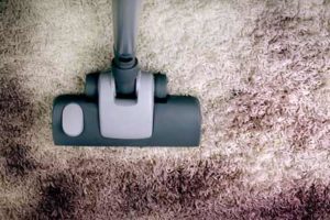  Carpet Cleaning Pros Avondale